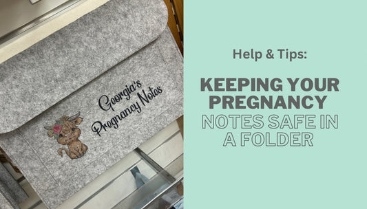 Why Keeping Your Pregnancy Notes Safe in a Folder Matters - From The Stork Bespoke Baby