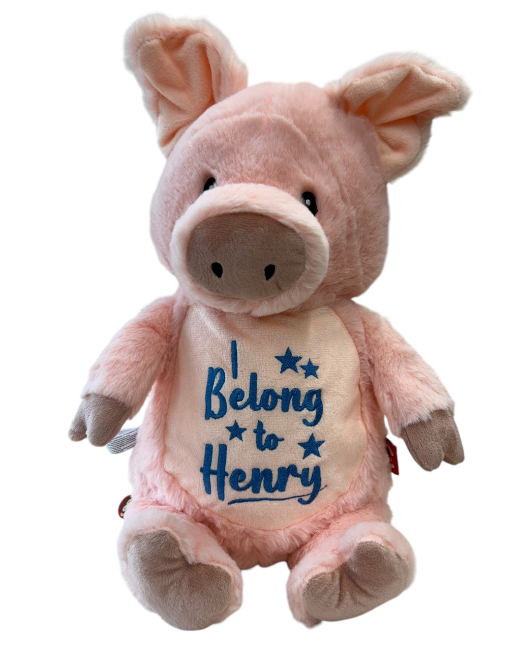 Farmyard Piggy Personalised Teddy