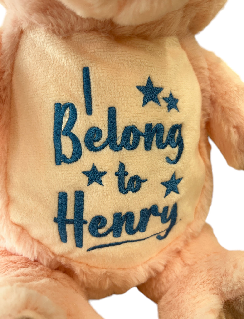 Farmyard Piggy Personalised Teddy