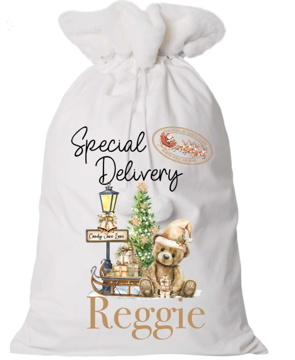 Personalised Christmas Present Sack - Teddy