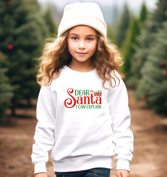 Dear Santa Christmas Kids personalised sweater