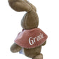 Flopsy Bunny Soft Toy