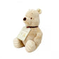 Hundred Acre Wood Winnie the Pooh Soft Toy