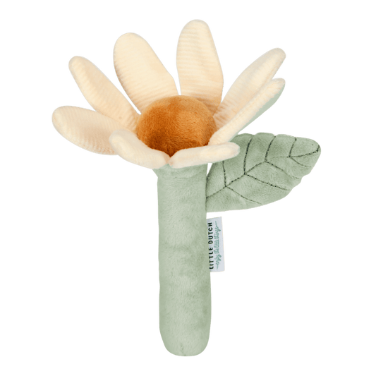 Little Dutch Rattle flower